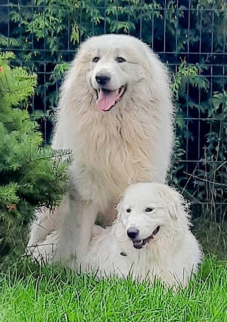 received_397078151859200-crop