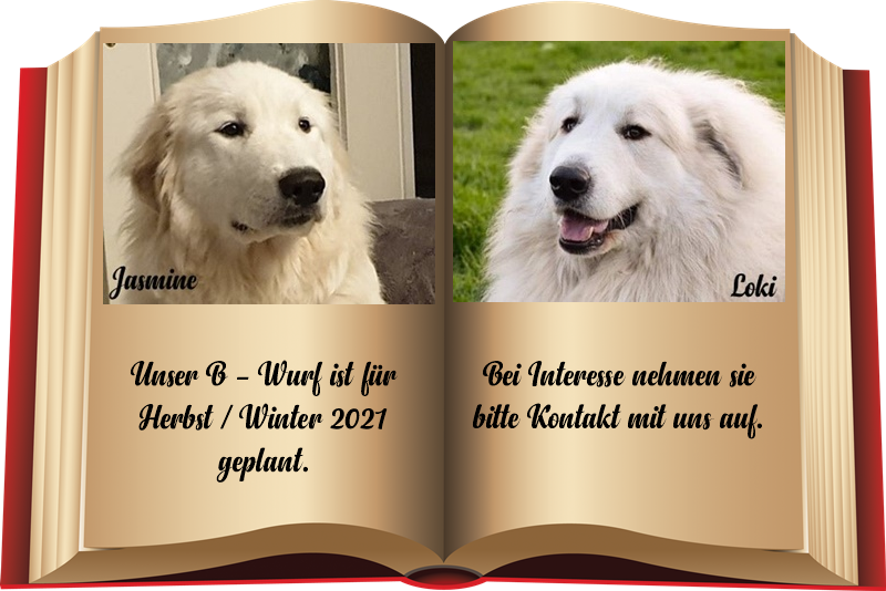 wurfanydore